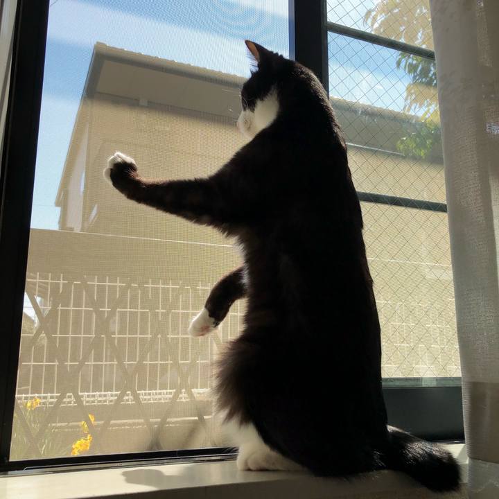 Af3336b3 c554 41ec a912 555894bf4ec8 1521334256917