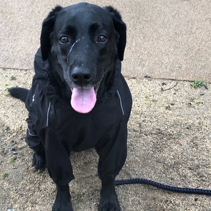 Af335f1c e5b3 4d6b 9b97 9e714ff2ecec 1676865683614