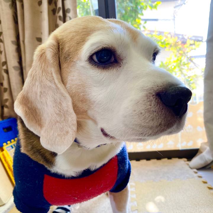 Af336015 521a 4578 9d21 0fc5acb36721 1578888051318