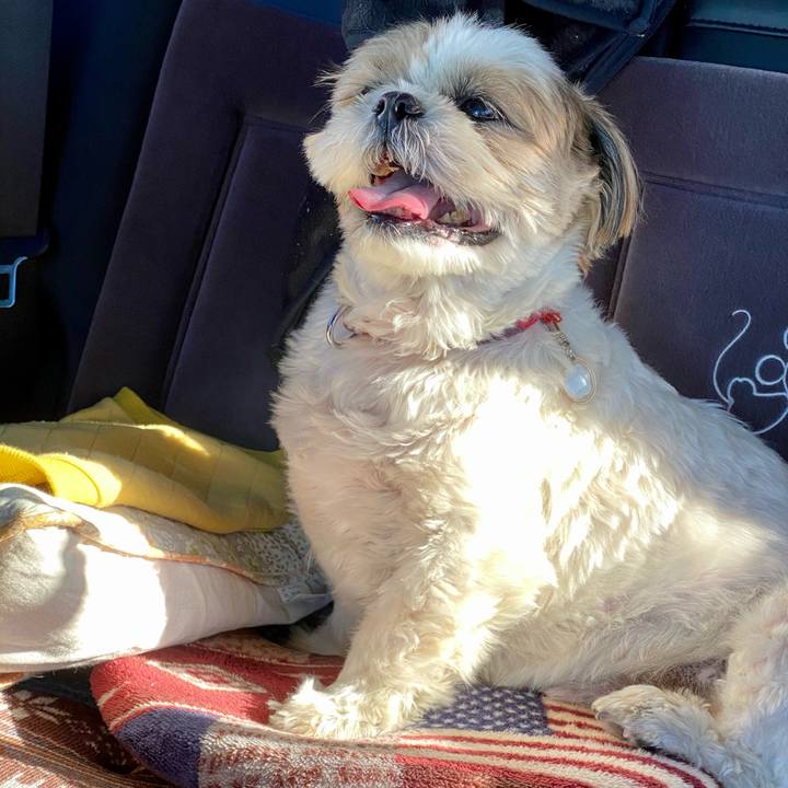 Af337c30 3b7e 4225 b6a7 90d22448ddac 1605934673066