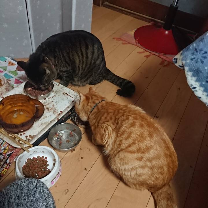 Af339739 ee62 4754 8292 10af1897ffae 1649281671479