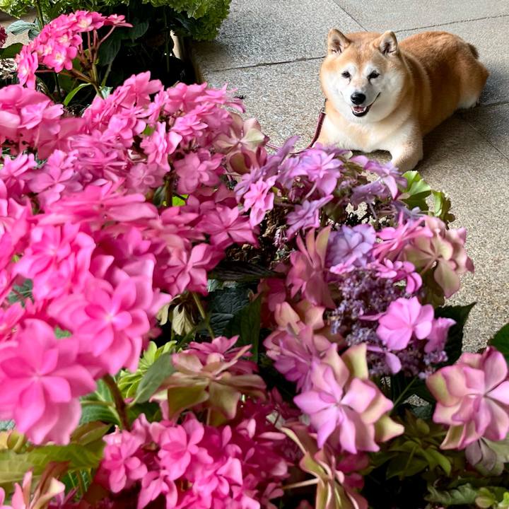 Af33eb58 a615 4064 badb 781b79a2113f 1687700718369