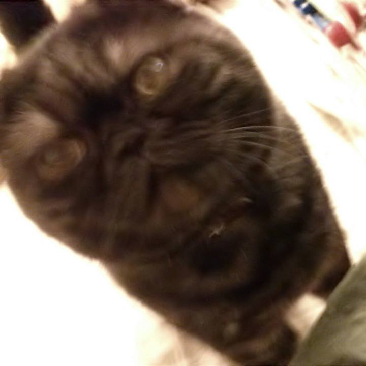 Af33f82e e42d 4e2a 92f1 91cf6e880296 1507815244086