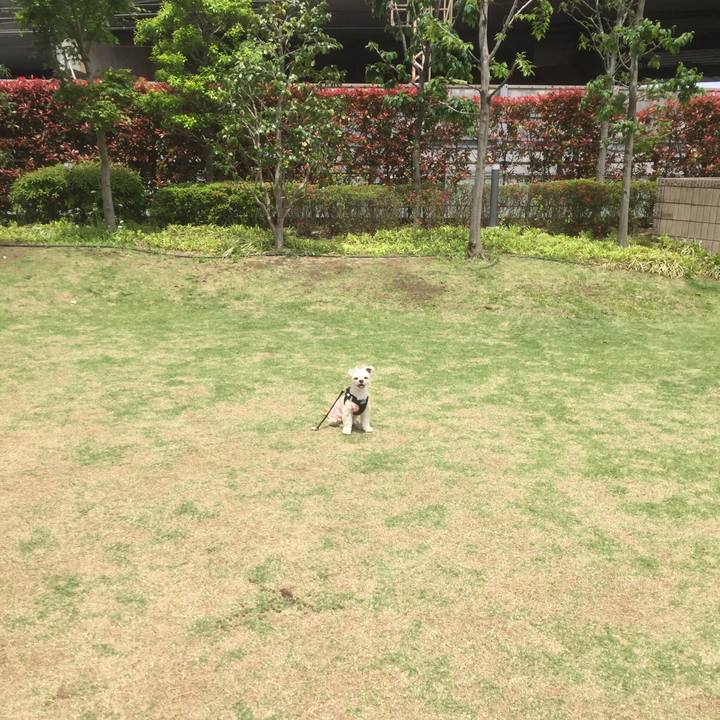 Af340e66 2183 4921 9a8a 936856103e3a 1556863976632