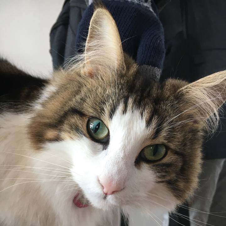 Af342570 93a1 434d be48 5eb6adccba81 1517131517225