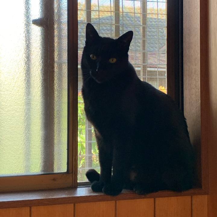 Af343fd1 b1fe 4dd8 bc7a ca68e9a0b869 1585013456488