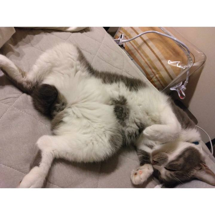 Af3483e6 ef4f 42f1 858d 07242f9a9be9 1692882799486