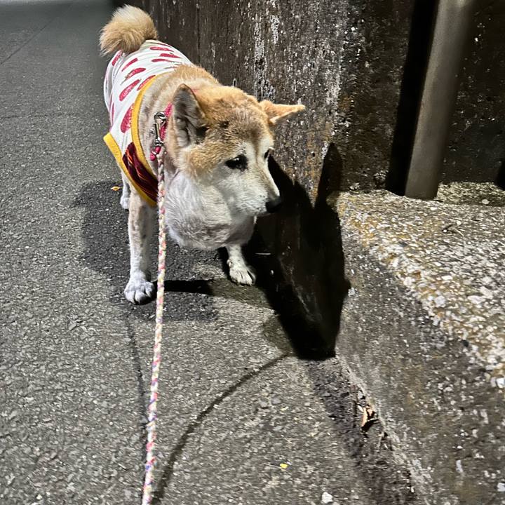 Af348662 25b2 4da9 944e b40fe5f9cf43 1761732761522