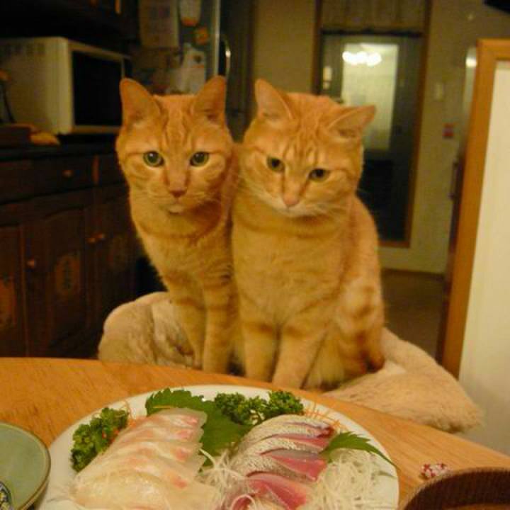 Af35018d 7bad 46b1 abfc 845ddee10c79 1512797858767