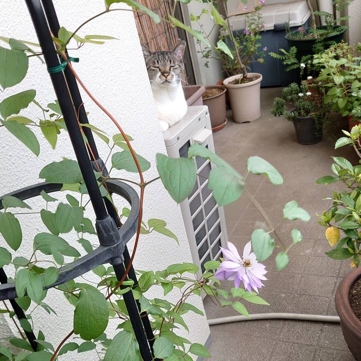 Af354481 adf5 4f40 a093 f5d29ab1346c 1652068521669