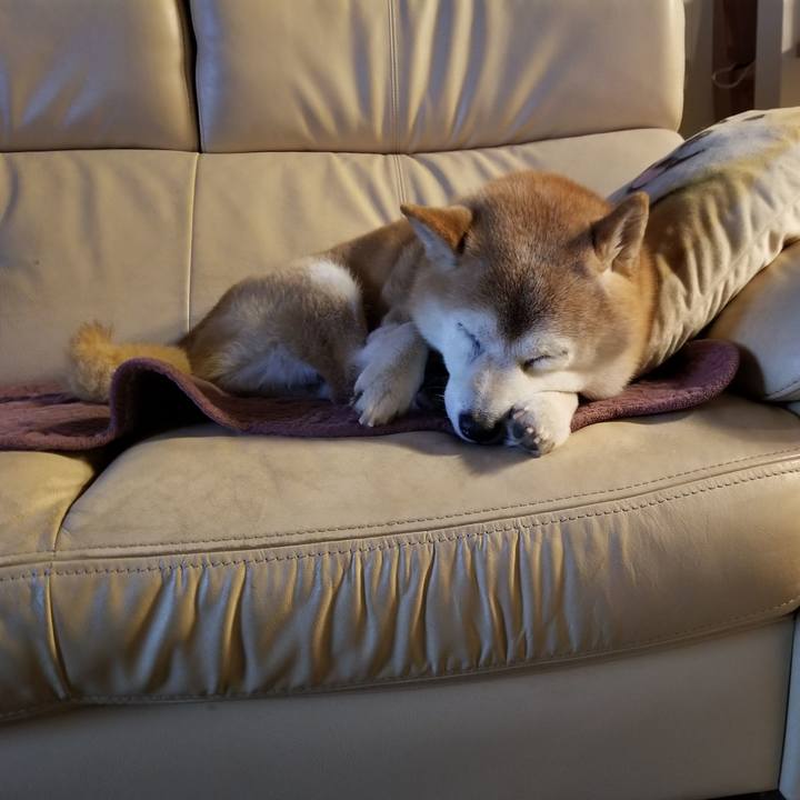 Af3558a1 5f16 4470 a02d b3fc25214a83 1734773301854