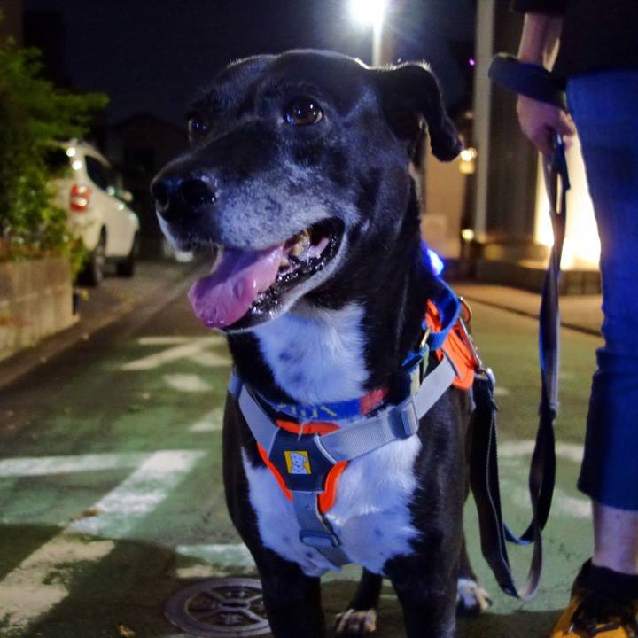 Af356931 ff96 4637 b7ae 61fc43d5a34b 1728987656839