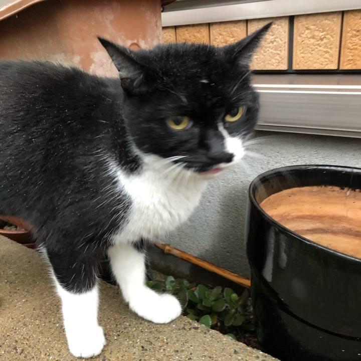 Af356f60 cbca 47e8 bc7e e08916cfecc9 1603319668992