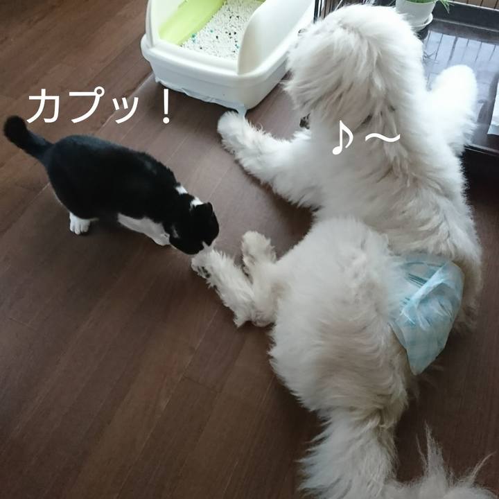 Af35706a 7f27 4375 b4bb 4af22764b2f6 1604650752073