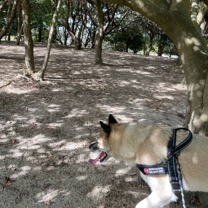 Af357273 6070 496a 9e5d c8fedec93013 1726405197697