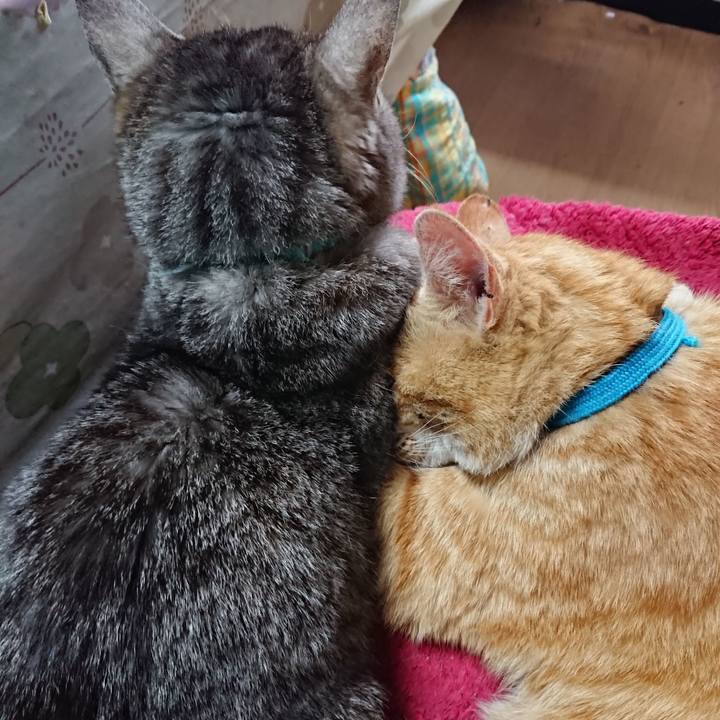 Af357fae d432 4e59 86ff 12ca6d27eb92 1555982459845