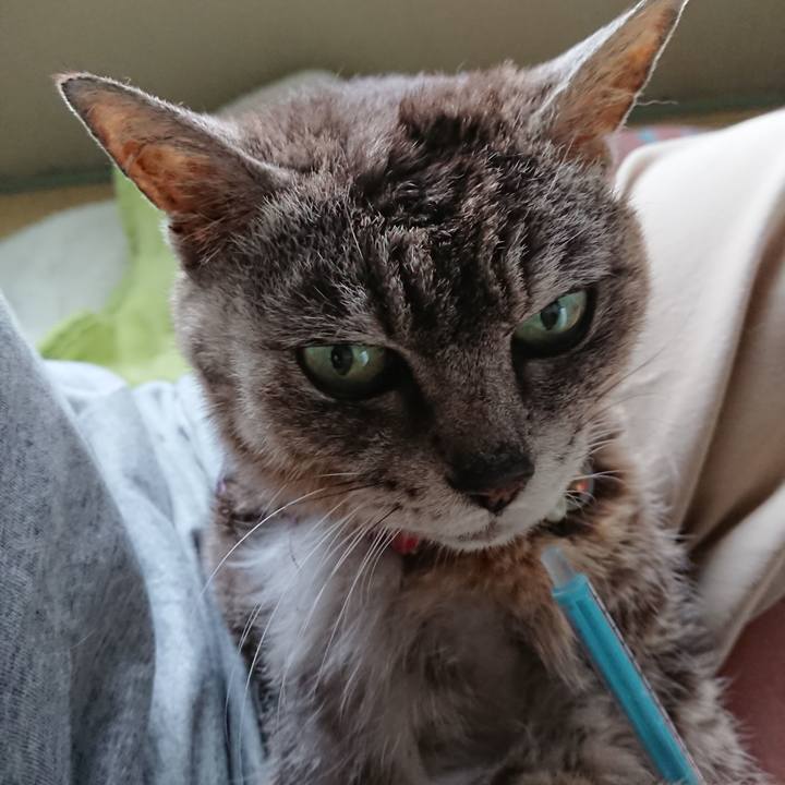 Af35ad0c 5ebc 4ef0 92d8 c4f23b4a95f3 1595632838594