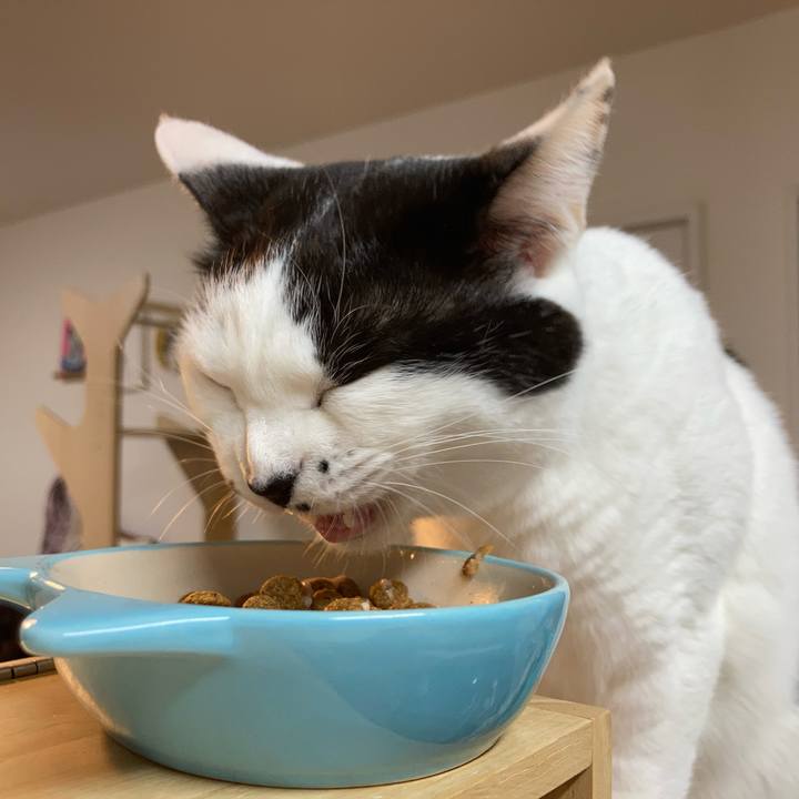 Af35da73 4efe 4adf a2d3 098cabeea514 1772571870957