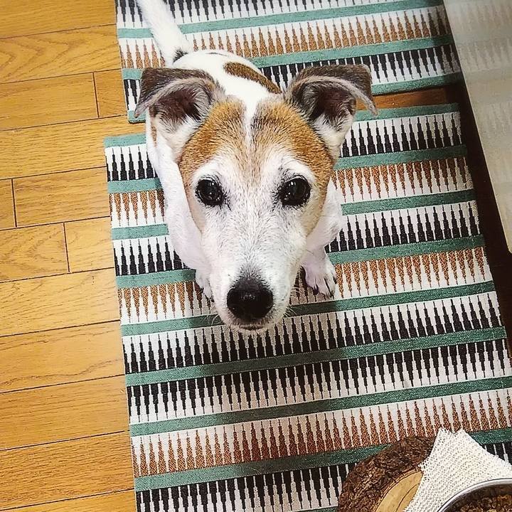 Af3641ba 3e77 4f55 8ac7 554581939a27 1594940218751