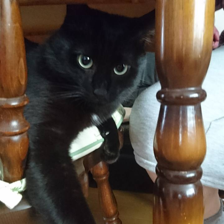 Af36bc19 185c 48d1 bdc0 cd1b0e8ad38d 1566343757856