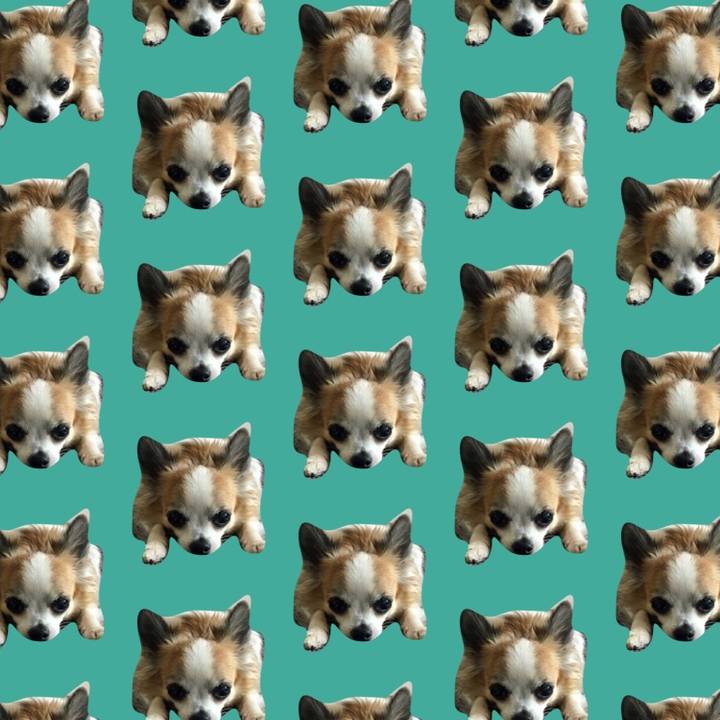 Af36ca2b 4ba5 4df0 adbd 954a8aa0da25 1532246168571