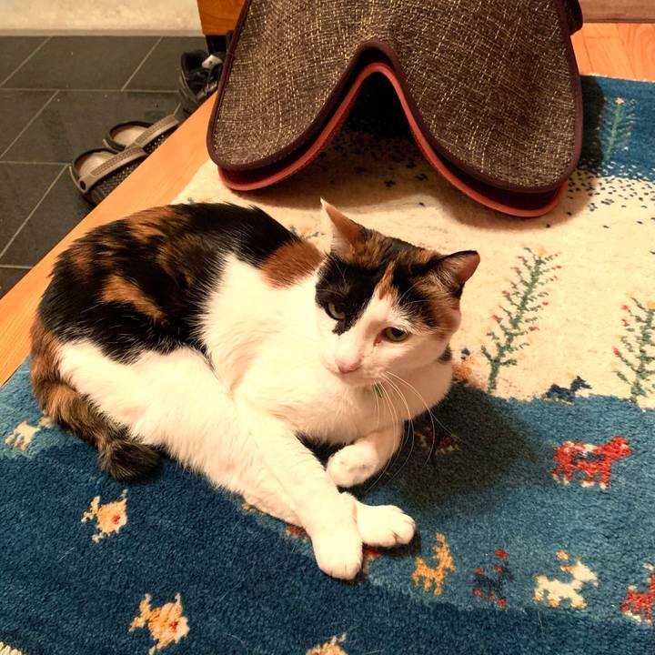 Af36cc3b 73a0 46b6 8e92 c727946bc172 1587215110094