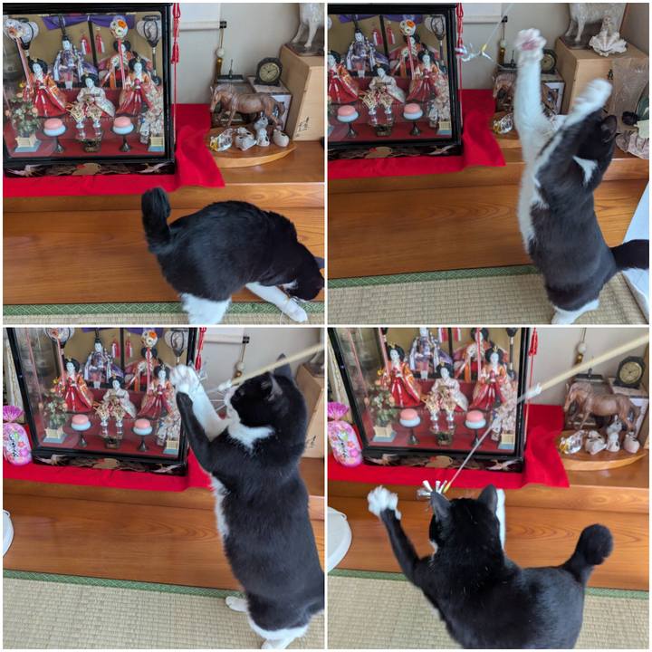 Af371185 229c 4dd5 a295 a7690b915b01 1743651919735