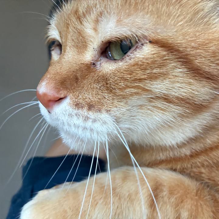 Af374663 39a3 4285 a55b 2b267c86153f 1763159788905