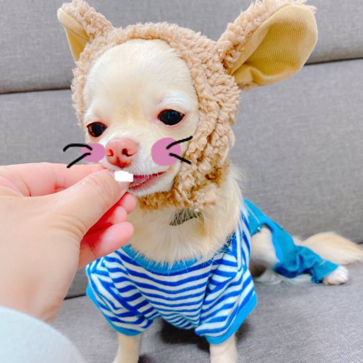 Af379b28 89d6 47ec bb10 ec2737f66761 1638968448273