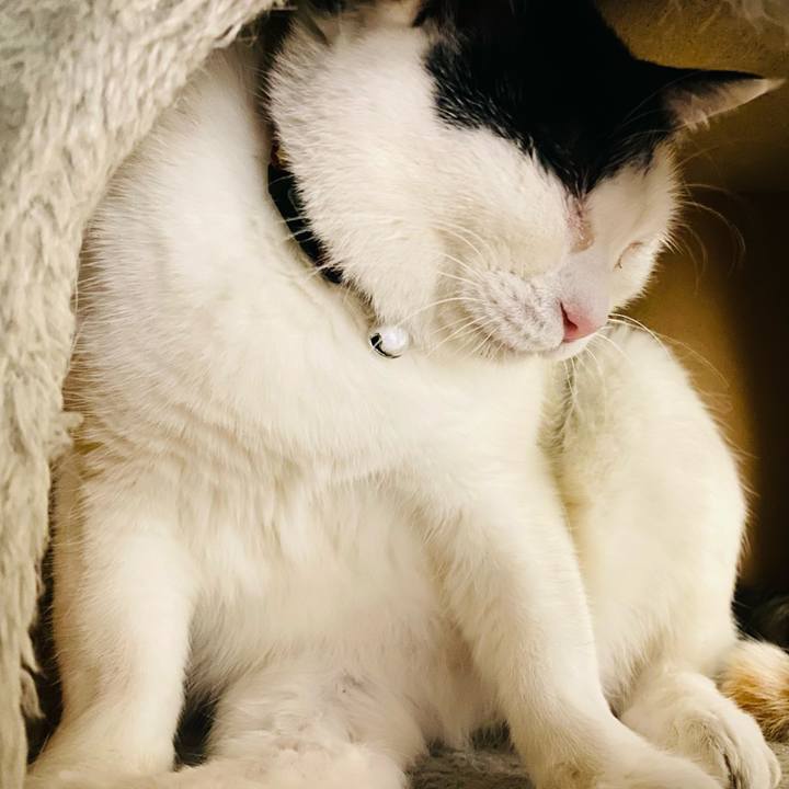 Af379d33 e2b5 421c b3d7 7da083b474f2 1679349569558