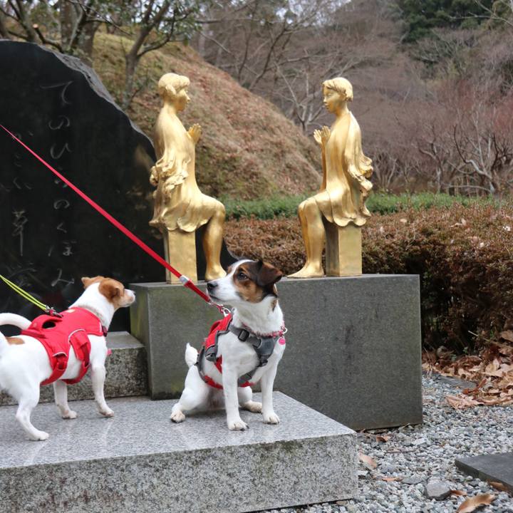 Af37fc24 0ed3 48e8 bd5e 9b10c16220f3 1517106260002