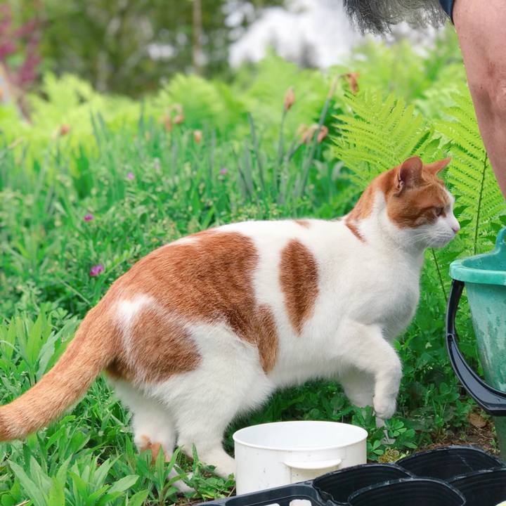 Af38148f a18b 491d 8fe6 b0960adfb513 1525585654020