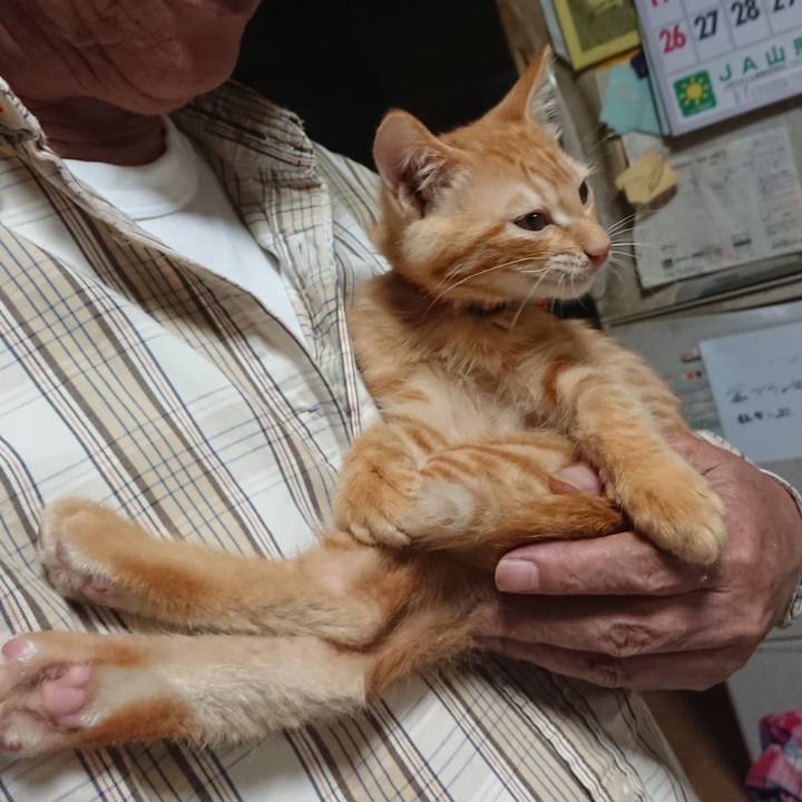 Af38208e b4a2 4ca5 9d2c 6b4c979541b5 1632052773653