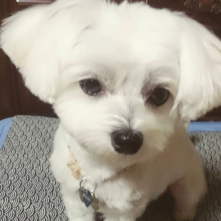 Af3825bf 757a 460b b9b1 8c92320bf3a8 1582706393457