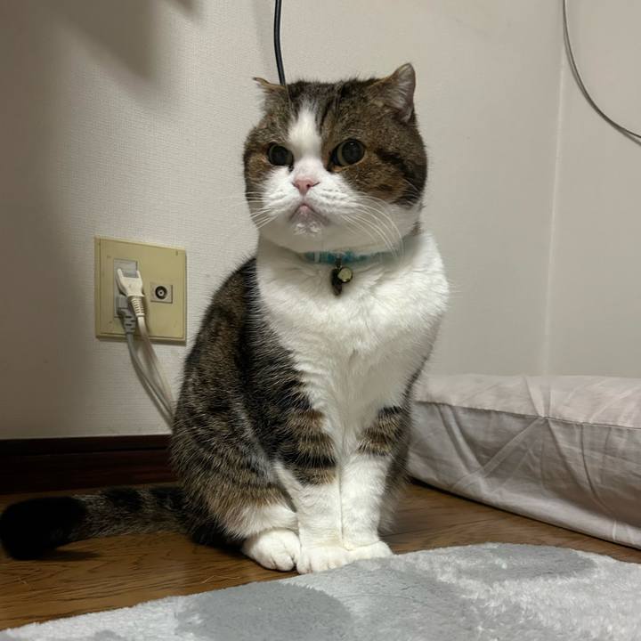 Af387d83 56c8 470d 90ea e200bce54d01 1770588044266