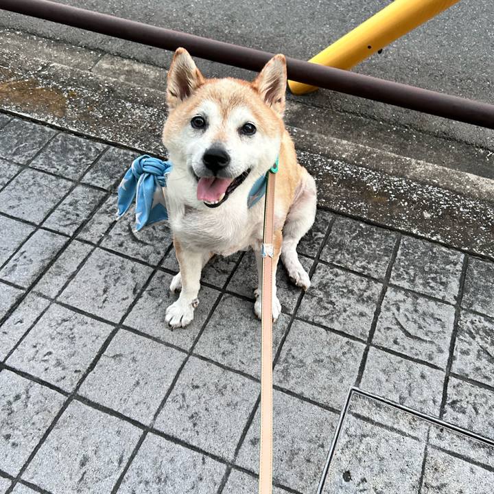 Af38a7a8 400f 416b a21b edd59c65144b 1755251191848