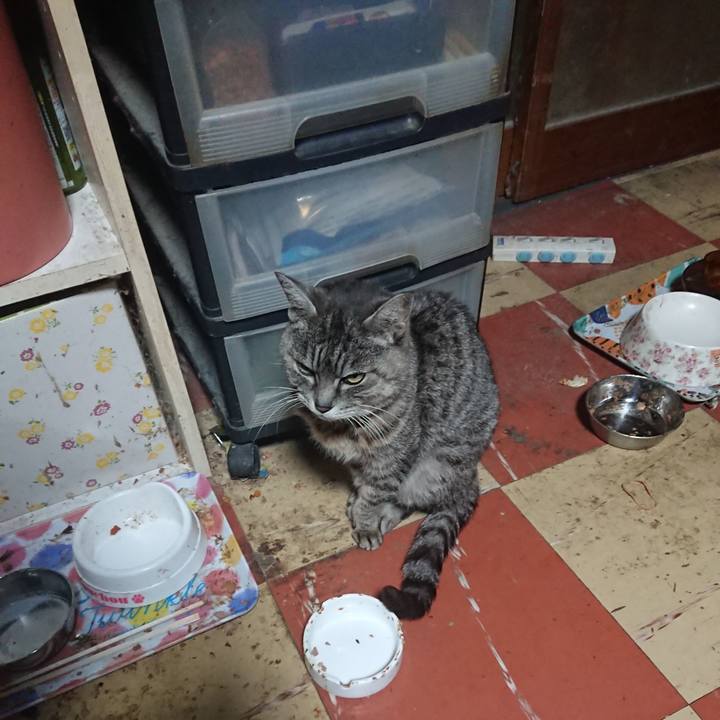 Af38d511 360f 4bd7 9105 2825976e1bb4 1583093128539