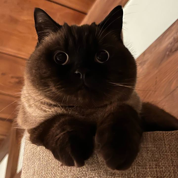 Af38f505 a0f4 4034 9367 499125a8a093 1675944120635