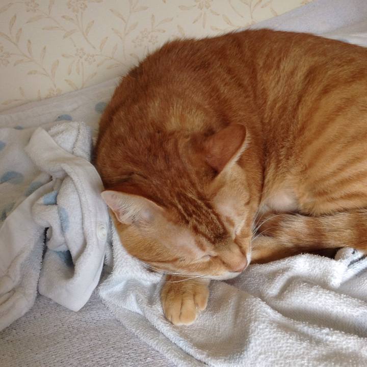 Af3932a3 5774 4986 a67f 263f111be28a 1569110385591