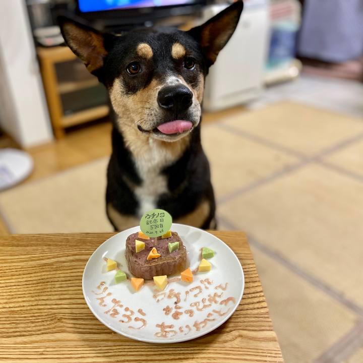 Af396e02 4791 4b55 92fb 1213c6e3bec2 1601208218312