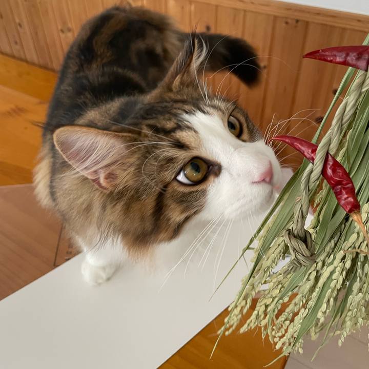 Af3996b5 3f0c 407b 88eb f012b8f5d5e5 1640918129354