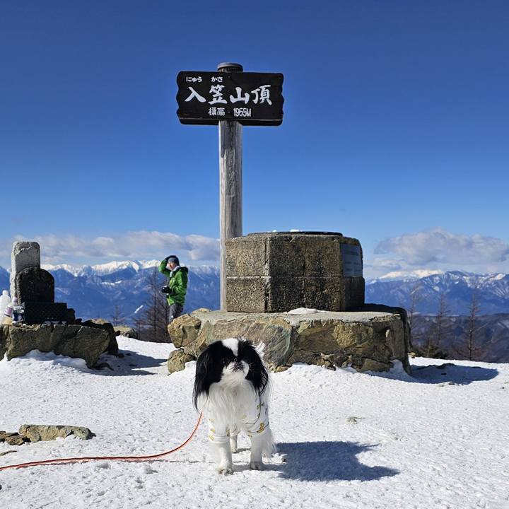 Af39a0cb a3c2 4bde b796 efc012adec02 1740134716814