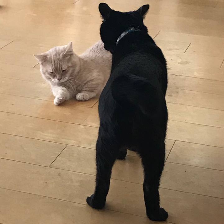 Af39d5da f13d 45b4 84fb 45db74fbf930 1521671567145