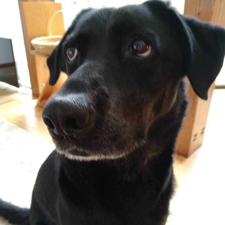 Af39e2cc ef7f 498b af98 8e32eb62722c 1615122098252