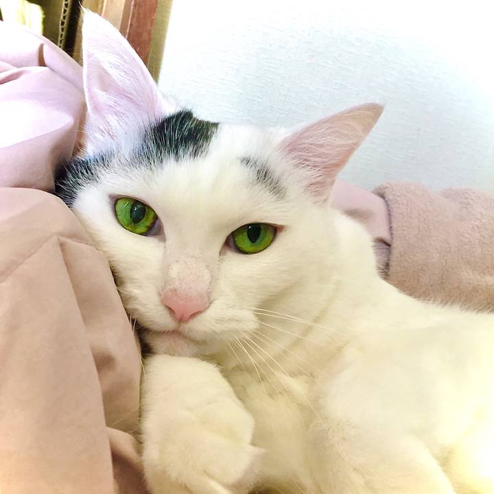 Af3a2572 c068 43c1 b6fe 7a6ef03846b9 1605857742699