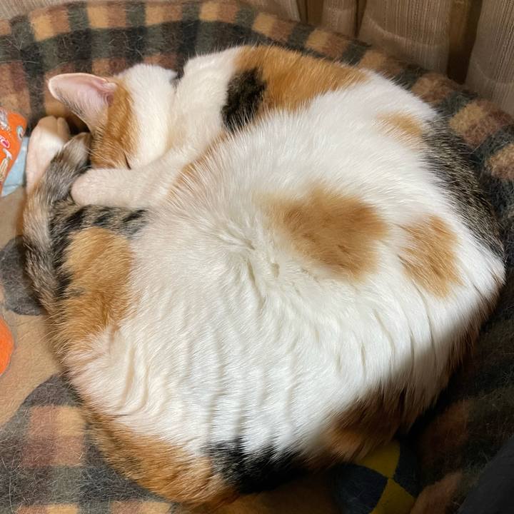 Af3a7815 96df 4368 b777 d33e44417350 1710771463105