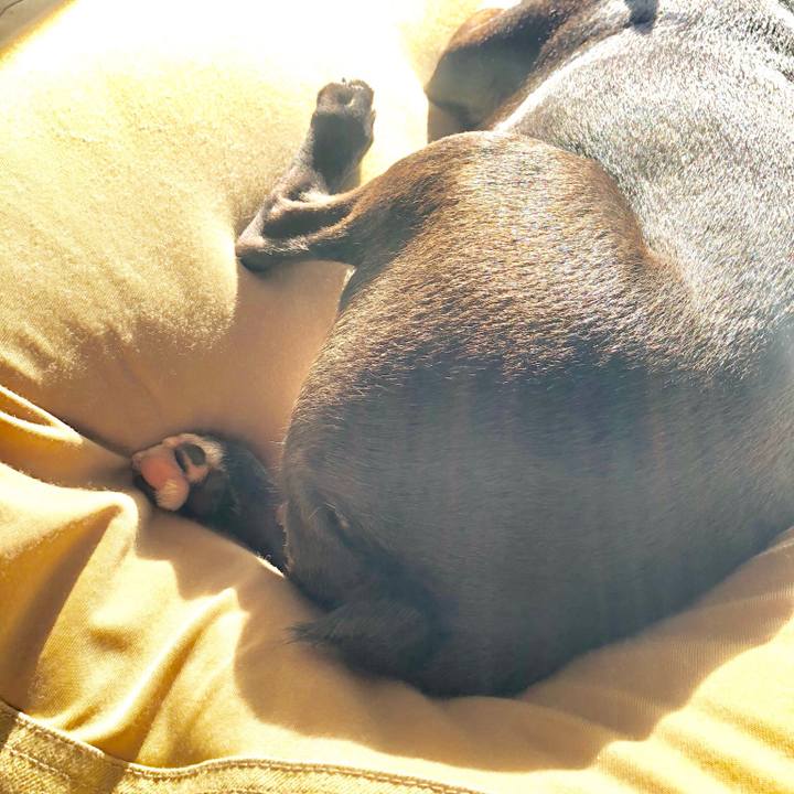 Af3ae21e ff2e 4421 adcd 860e13727d74 1525043203461