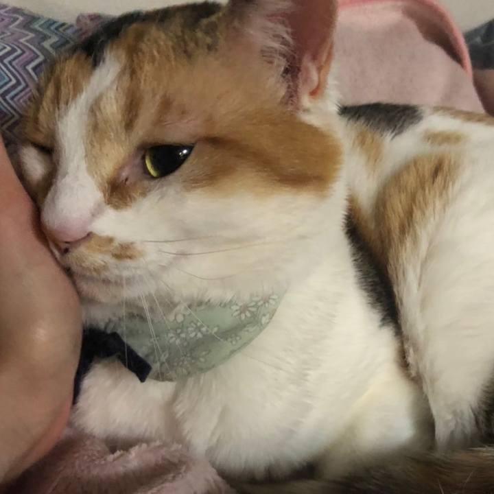 Af3af267 f93f 48bc bb16 f45e6326e18d 1683918610113