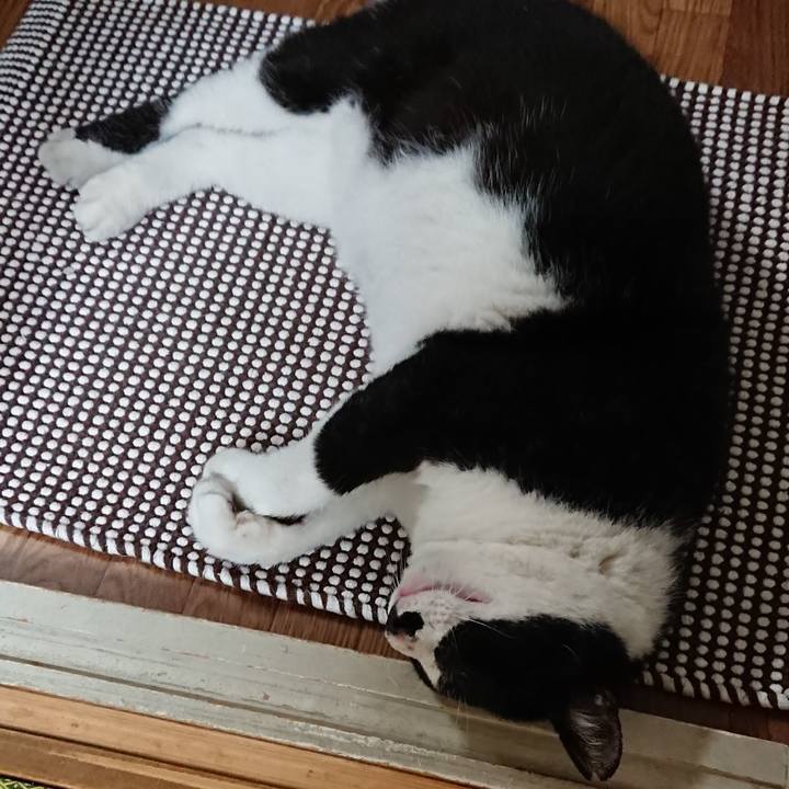 Af3b1e43 23ef 4d3c ae7e 993bc42174a9 1535796667935