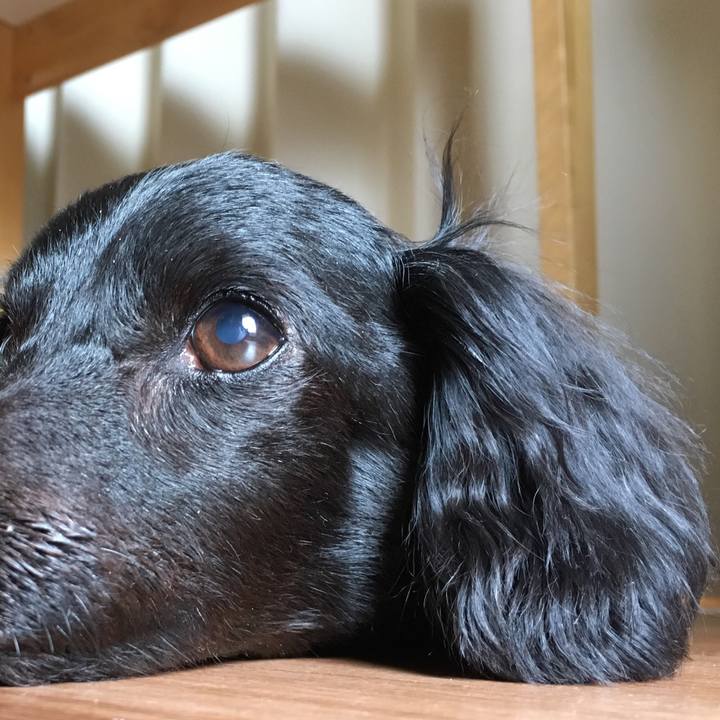 Af3b445a db84 4dbe a0ca 3baacea21d17 1532990790756